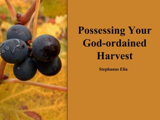 Possessing Your God-ordained Harvest Stephanus Elia 