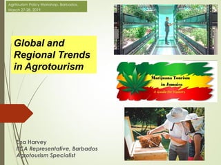 Ena Harvey
IICA Representative, Barbados
Agrotourism Specialist
Global and
Regional Trends
in Agrotourism
Agritourism Policy Workshop, Barbados,
March 27-28, 2019
 