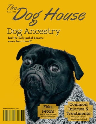 Fido, Fetch
Fido, Fetch!
!
Dog House
Dog House
The
Do
Dog
g Ancestry
Ancestry
October 2022
www.thedoghouse.com
Did the surly jackal become
man’s best friend?
Fido,
Fido,
Fetch!
Fetch!
How to train your new
hunting companion
Common
Common
Injuries &
Injuries &
Treatments
Treatments
What to do when the
goodest boy feels bad
 