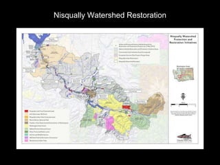 Nisqually Watershed Restoration
 