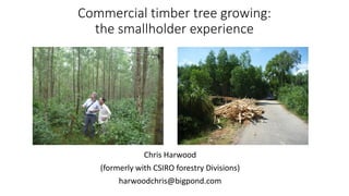 thumbnail of Commercial timber tree growing: The smallholder experience