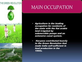 • Agriculture is the leading
occupation for residents of
the state with the flat arable
land irrigated by
submersible pumps and an
extensive canal system.
• Haryana contributed heavily
to the Green Revolution that
made India self-sufficient in
food production in the
1960s.
MAIN OCCUPATION
 