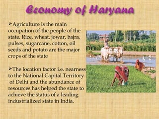 Agriculture is the main
occupation of the people of the
state. Rice, wheat, jowar, bajra,
pulses, sugarcane, cotton, oil
seeds and potato are the major
crops of the state

The location factor i.e. nearness
to the National Capital Territory
 of Delhi and the abundance of
resources has helped the state to
achieve the status of a leading
industrialized state in India.
 