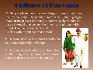  The people of haryana wear bright colored costumes at
the festival time. The women  wear a calf-length ghagra
made from at least 20 meters of fabric ; a short kurti on
top; a chundri that covers their head and glitters with
tinsel. The men wear dhoti and
Kurtas with bright colored turbans

 Haryana boasts of a robust handloom
tradition, especially in Panipat

 Haryanavi has traditionally been the
mother tongue in Haryana, with  Hindi 
being spoken as a second language
 