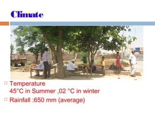 Climate
 Temperature
45°C in Summer ,02 °C in winter
 Rainfall :650 mm (average)
 