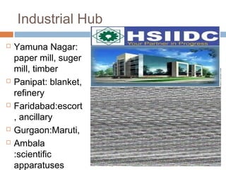 Industrial Hub
 Yamuna Nagar:
paper mill, suger
mill, timber
 Panipat: blanket,
refinery
 Faridabad:escort
, ancillary
 Gurgaon:Maruti,
 Ambala
:scientific
apparatuses
 