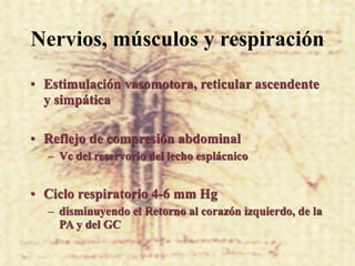 Nervios, músculos y respiración
• Estimulación vasomotora, reticular ascendente
  y simpática

• Reflejo de compresión abdominal
  – Vc del reservorio del lecho esplácnico


• Ciclo respiratorio 4-6 mm Hg
  – disminuyendo el Retorno al corazón izquierdo, de la
    PA y del GC
 