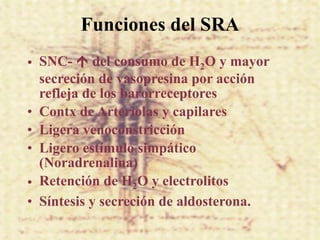 Funciones del SRA
• SNC-  del consumo de H2O y mayor
  secreción de vasopresina por acción
  refleja de los barorreceptores
• Contx de Arteriolas y capilares
• Ligera venoconstricción
• Ligero estímulo simpático
  (Noradrenalina)
• Retención de H2O y electrolitos
• Síntesis y secreción de aldosterona.
 