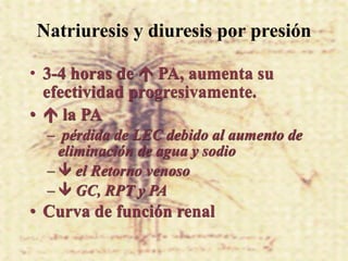 Natriuresis y diuresis por presión

• 3-4 horas de  PA, aumenta su
  efectividad progresivamente.
•  la PA
  – pérdida de LEC debido al aumento de
    eliminación de agua y sodio
  –  el Retorno venoso
  –  GC, RPT y PA
• Curva de función renal
 
