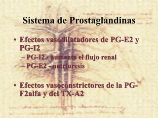 Sistema de Prostaglandinas
• Efectos vasodilatadores de PG-E2 y
  PG-I2
  – PG-I2 - aumenta el flujo renal
  – PG-E2 - natriuresis

• Efectos vasoconstrictores de la PG-
  F2alfa y del TX-A2
 