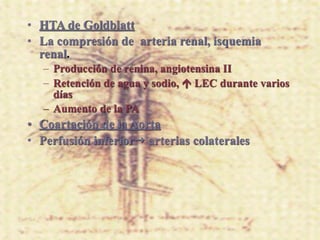 • HTA de Goldblatt
• La compresión de arteria renal, isquemia
  renal.
   – Producción de renina, angiotensina II
   – Retención de agua y sodio,  LEC durante varios
     días
   – Aumento de la PA
• Coartación de la Aorta
• Perfusión inferior arterias colaterales
 