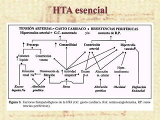 HTA esencial
 