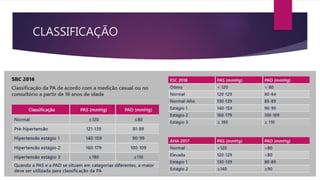 CLASSIFICAÇÃO
 