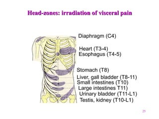 25
Diaphragm (C4)
Heart (T3-4)
Esophagus (T4-5)
Stomach (T8)
Liver, gall bladder (T8-11)
Small intestines (T10)
Large intestines T11)
Urinary bladder (T11-L1)
Testis, kidney (T10-L1)
Head-zones: irradiation of visceral pain
 