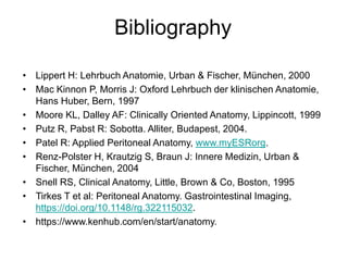 Bibliography
• Lippert H: Lehrbuch Anatomie, Urban & Fischer, München, 2000
• Mac Kinnon P, Morris J: Oxford Lehrbuch der klinischen Anatomie,
Hans Huber, Bern, 1997
• Moore KL, Dalley AF: Clinically Oriented Anatomy, Lippincott, 1999
• Putz R, Pabst R: Sobotta. Alliter, Budapest, 2004.
• Patel R: Applied Peritoneal Anatomy, www.myESRorg.
• Renz-Polster H, Krautzig S, Braun J: Innere Medizin, Urban &
Fischer, München, 2004
• Snell RS, Clinical Anatomy, Little, Brown & Co, Boston, 1995
• Tirkes T et al: Peritoneal Anatomy. Gastrointestinal Imaging,
https://doi.org/10.1148/rg.322115032.
• https://www.kenhub.com/en/start/anatomy.
 