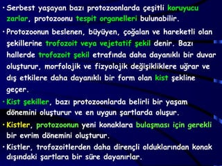 • Serbest yaşayan bazı protozoonlarda çeşitli koruyucu
  zarlar, protozoonu tespit organelleri bulunabilir.
• Protozoonun beslenen, büyüyen, çoğalan ve hareketli olan
 şekillerine trofozoit veya vejetatif şekil denir. Bazı
 hallerde trofozoit şekil etrafında daha dayanıklı bir duvar
 oluşturur, morfolojik ve fizyolojik değişikliklere uğrar ve
 dış etkilere daha dayanıklı bir form olan kist şekline
 geçer.
• Kist şekiller, bazı protozoonlarda belirli bir yaşam
  dönemini oluşturur ve en uygun şartlarda oluşur.
• Kistler, protozoonun yeni konaklara bulaşması için gerekli
  bir evrim dönemini oluşturur.
• Kistler, trofozoitlerden daha dirençli olduklarından konak
  dışındaki şartlara bir süre dayanırlar.
 