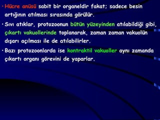 • Hücre anüsü sabit bir organeldir fakat; sadece besin
 artığının atılması sırasında görülür.
• Sıvı atıklar, protozoonun bütün yüzeyinden atılabildiği gibi,
 çıkartı vakuollerinde toplanarak, zaman zaman vakuolün
 dışarı açılması ile de atılabilirler.
• Bazı protozoonlarda ise kontraktil vakuoller aynı zamanda
 çıkartı organı görevini de yaparlar.
 