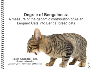 Hasan Alhaddad, Ph.D.
Kuwait University
January 2016 - University of Missouri
Degree of Bengalness:
A measure of the genomic contribution of Asian
Leopard Cats into Bengal breed cats
 