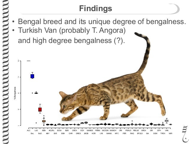 Cat Breed Dataset Cat Breed Dataset