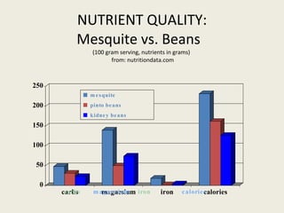 NUTRIENT QUALITY: Mesquite vs. Beans  (100 gram serving, nutrients in grams)   from: nutritiondata.com    mesquite    pinto beans    kidney beans carbs  magnesium   iron   calories 
