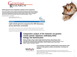 Mullikin et al. BMC Genomics 2010, 11:406
http://www.biomedcentral.com/1471-2164/11/406
Open AccessDATABASE
Database
Light whole genome sequence for SNP discovery
across domestic cat breeds
James C Mullikin*1, Nancy F Hansen1, Lei Shen2, Heather Ebling2, William F Donahue2, Wei Tao2, David J Saranga2,
Adrianne Brand2, Marc J Rubenfield2, Alice C Young1, Pedro Cruz1 for NISC Comparative Sequencing Program1,
Carlos Driscoll3, Victor David3, Samer WK Al-Murrani4, Mary F Locniskar4, Mitchell S Abrahamsen4, Stephen J O'Brien3,
Douglas R Smith2 and Jeffrey A Brockman4
Abstract
Background: The domestic cat has offered enormous genomic potential in the veterinary description of over 250
hereditary disease models as well as the occurrence of several deadly feline viruses (feline leukemia virus -- FeLV, feline
coronavirus -- FECV, feline immunodeficiency virus - FIV) that are homologues to human scourges (cancer, SARS, and
AIDS respectively). However, to realize this bio-medical potential, a high density single nucleotide polymorphism (SNP)
map is required in order to accomplish disease and phenotype association discovery.
Description: To remedy this, we generated 3,178,297 paired fosmid-end Sanger sequence reads from seven cats, and
combined these data with the publicly available 2X cat whole genome sequence. All sequence reads were assembled
together to form a 3X whole genome assembly allowing the discovery of over three million SNPs. To reduce potential
false positive SNPs due to the low coverage assembly, a low upper-limit was placed on sequence coverage and a high
lower-limit on the quality of the discrepant bases at a potential variant site. In all domestic cats of different breeds:
female Abyssinian, female American shorthair, male Cornish Rex, female European Burmese, female Persian, female
Siamese, a male Ragdoll and a female African wildcat were sequenced lightly. We report a total of 964 k common SNPs
suitable for a domestic cat SNP genotyping array and an additional 900 k SNPs detected between African wildcat and
domestic cats breeds. An empirical sampling of 94 discovered SNPs were tested in the sequenced cats resulting in a
SNP validation rate of 99%.
Conclusions: These data provide a large collection of mapped feline SNPs across the cat genome that will allow for the
development of SNP genotyping platforms for mapping feline diseases.
Background
Along with dogs, the domestic cat enjoys extensive veter-
inary surveillance, more than any other animal. A rich lit-
erature of feline veterinary models reveals a unique
opportunity to explore genetic determinants responsible
ion to people since their original domestication from the
Asian wildcat (Felis silvestris lybica), recently estimated at
approximately 10,000 years ago in the Middle East's Fer-
tile Crescent[3]. In spite of our affection for cats,
advances in clinical resolution of genetic maladies and
10.1101/gr.6380007Access the most recent version at doi:
2007 17: 1675-1689Genome Res.
Bourque, Glenn Tesler, NISC Comparative Sequencing Program and Stephen J. O’Brien
Antunes, Marilyn Menotti-Raymond, Naoya Yuhki, Jill Pecon-Slattery, Warren E. Johnson, Guillaume
A. Schäffer, Richa Agarwala, Kristina Narfström, William J. Murphy, Urs Giger, Alfred L. Roca, Agostinho
Sante Gnerre, Michele Clamp, Jean Chang, Robert Stephens, Beena Neelam, Natalia Volfovsky, Alejandro
Joan U. Pontius, James C. Mullikin, Douglas R. Smith, Agencourt Sequencing Team, Kerstin Lindblad-Toh,
Initial sequence and comparative analysis of the cat genome
data
Supplementary
http://www.genome.org/cgi/content/full/17/11/1675/DC1
"Supplemental Research Data"
References
http://www.genome.org/cgi/content/full/17/11/1675#References
This article cites 97 articles, 41 of which can be accessed free at:
service
Email alerting
click heretop right corner of the article or
Receive free email alerts when new articles cite this article - sign up in the box at the
Notes
http://www.genome.org/subscriptions/
go to:Genome ResearchTo subscribe to
© 2007 Cold Spring Harbor Laboratory Press
Comparative analysis of the domestic cat genome
reveals genetic signatures underlying feline
biology and domestication
Michael J. Montaguea,1
, Gang Lib,1
, Barbara Gandolfic
, Razib Khand
, Bronwen L. Akene
, Steven M. J. Searlee
,
Patrick Minxa
, LaDeana W. Hilliera
, Daniel C. Koboldta
, Brian W. Davisb
, Carlos A. Driscollf
, Christina S. Barrf
,
Kevin Blackistonef
, Javier Quilezg
, Belen Lorente-Galdosg
, Tomas Marques-Bonetg,h
, Can Alkani
, Gregg W. C. Thomasj
,
Matthew W. Hahnj
, Marilyn Menotti-Raymondk
, Stephen J. O’Brienl,m
, Richard K. Wilsona
, Leslie A. Lyonsc,2
,
William J. Murphyb,2
, and Wesley C. Warrena,2
a
The Genome Institute, Washington University School of Medicine, St. Louis, MO 63108; b
Department of Veterinary Integrative Biosciences, College of
Veterinary Medicine, Texas A&M University, College Station, TX 77843; c
Department of Veterinary Medicine & Surgery, College of Veterinary Medicine,
University of Missouri, Columbia, MO 65201; d
Population Health & Reproduction, School of Veterinary Medicine, University of California, Davis, CA 95616;
e
Wellcome Trust Sanger Institute, Hinxton CB10 1SA, United Kingdom; f
National Institute on Alcohol Abuse and Alcoholism, National Institutes of Health,
Bethesda, MD 20886; g
Catalan Institution for Research and Advanced Studies, Institute of Evolutionary Biology, Pompeu Fabra University, 08003
Barcelona, Spain; h
Centro de Analisis Genomico 08028, Barcelona, Spain; i
Department of Computer Engineering, Bilkent University, Ankara 06800, Turkey;
j
Department of Biology, Indiana University, Bloomington, IN 47405; k
Laboratory of Genomic Diversity, Center for Cancer Research, Frederick, MD 21702;
l
Dobzhansky Center for Genome Bioinformatics, St. Petersburg State University, St. Petersburg 199178, Russia; and m
Oceanographic Center, Nova
Southeastern University, Fort Lauderdale, FL 33314
Edited by James E. Womack, Texas A&M University, College Station, TX, and approved October 3, 2014 (received for review June 2, 2014)
Little is known about the genetic changes that distinguish
domestic cat populations from their wild progenitors. Here we
describe a high-quality domestic cat reference genome assembly
and comparative inferences made with other cat breeds, wildcats,
and other mammals. Based upon these comparisons, we identified
positively selected genes enriched for genes involved in lipid
Previous studies have assessed breed differentiation (6, 7),
phylogenetic origins of the domestic cat (8), and the extent of
recent introgression between domestic cats and wildcats (9, 10).
However, little is known regarding the impact of the domesti-
cation process within the genomes of modern cats and how this
compares with genetic changes accompanying selection identified in
GENETICS
 