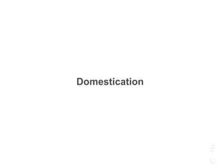 Domestication
 