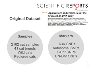 Samples
2162 cat samples
41 cat breeds
Wild cats
Pedigree cats
Markers
~63K SNPs
Autosomal SNPs
X-Chr SNPs
UN-Chr SNPs
, Hasan ad , Mona , Leslie H. C ,
, Bianca Haase ,Jens Ha Helps ,
, Hannes Malik ,
n ,
n ,
& LeslieA.
Felis silvestris silvestris
Department ofVeterinary Medicine andSurgery,College ofVeterinary Medicine,University of Missouri -Columbia,
Columbia, MO, USA. Department of Biological Sciences, Kuwait University, Safat, Kuwait. Department of
Population Health and Reproduction,School ofVeterinary Medicine,University ofCalifornia – Davis, Davis,CA,USA.
University ofSan Francisco,San Francisco,CA,USA. Department ofVeterinary Integrative Biosciences,TexasA&M
University,CollegeStation,TX,USA. Division ofAnimalSciences,University of Missouri -Columbia,Columbia, MO,
USA. Cummings School of Veterinary Medicine, Tufts University, North Grafton, MA, USA. Veterinary Genetics
Laboratory, School of Veterinary Medicine, University of California - Davis, Davis, CA, USA. Sydney School of
VeterinaryScience,University ofSydney,Sydney,Australia. Department ofClinicalSciences,SwedishUniversity of
AgriculturalSciences,Uppsala,Sweden. Department of Biochemistry,University ofCalifornia – Riverside, Riverside,
CA, USA. LangfordVets, University of Bristol, Bristol, United Kingdom. FoothillCollege, LosAltos Hills,CA, USA.
Department of Veterinary Biosciences, Research Programs Unit, Molecular Neurology, University of Helsinki,
andThe Folkhälsan Institute of Genetics, Helsinki, Finland. Department ofVeterinary Medicine, Università degli
Studi di Milano, Milan, Italy. Centre forVeterinary Education, University of Sydney, New South Wales, Australia.
Department ofClinicalSciences,College ofVeterinary Medicine, NorthCarolinaStateUniversity, Raleigh, NC,USA.
Department of Neuroscience, Parelman School of Medicine, University of Pennsylvania, Philadelphia, PA, USA.
NIH Intramural Sequencing Center, National Human Genome Research Institute, National Institutes of Health,
Bethesda, MD,USA. Center forCompanionAnimal Health,School ofVeterinary Medicine,University ofCalifornia -
Davis, Davis,CA,USA. School ofVeterinary Medicine, Faculty of Health and MedicalSciences,University ofSurrey,
Guildford,Surrey,United Kingdom. Institute of Biotechnology,Gulab Devi EducationalComplex, Lahore, Pakistan.
Department of Pathology, University of California, San Diego, La Jolla, CA, USA. McDonnell Genome Institute,
Washington University School of Medicine, St Louis, MO, USA. Institute of Biochemistry and Biotechnology,
Received: 17 October 2017
Accepted: 16 April 2018
Published: xx xx xxxx
Correction: Author Correction
Original Dataset
 