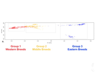 Group 1
Western Breeds
Group 2
Middle Breeds
Group 3
Eastern Breeds
-0.04 -0.02 0.00 0.02 0.04 0.06 0.08
-0.15-0.10-0.050.000.05
PC1 (28.9%)
PC2(9.5%)
a.
-0.04 -0.03 -0.02 -0.01 0.00
-0.03-0.02-0.010.000.01
PC1
PC2
M.Coon NFC Lykoi Siberian Munchkin B.Shorthair Persian S.Fold S.Rex
b.
0.04
 