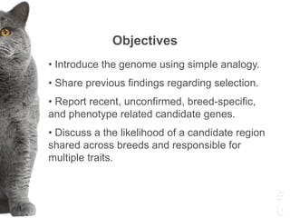 Objectives
• Introduce the genome using simple analogy.
• Share previous findings regarding selection.
• Report recent, unconfirmed, breed-specific,
and phenotype related candidate genes.
• Discuss a the likelihood of a candidate region
shared across breeds and responsible for
multiple traits.
 
