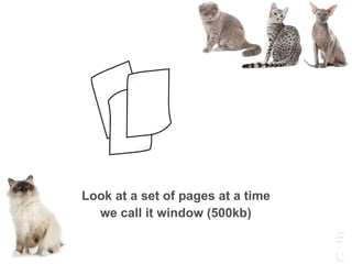 Look at a set of pages at a time
we call it window (500kb)
 