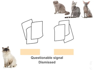 Questionable signal
Dismissed
 