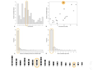 A1 A2 A3 B1 B2 B3 B4 C1 C2 D1 D2 D3 D4 E1 E2 E3 F1 F2
Chromosome
Numberofcandidateregions
05101520253035
a.
50 100 150 200 250
5101520253035
Chromosome size (Mb)
Numberofcandidateregions
A1
A2
A3
B1
B2
B3
B4
C1
C2
D1
D2
D3
D4
E1
E2
E3
F1
F2
b.
Number of overlapping windows per candidate region
Frequency
186
23
14
6 4 5 4 2 1 1 1 2 0 2 0 1 0 0 0 0 0 1
3 4 5 6 7 8 9 10 11 12 13 14 15 16 17 18 19 20 21 22 23 24 25
050100150200
c. Size of candidate region (Mb)
Frequency
199
30
12
5
2 1 1 2 0 1
1 2 3 4 5 6 7 8 9 10 11
050100150200
d.
 