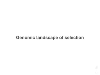 Genomic landscape of selection
 