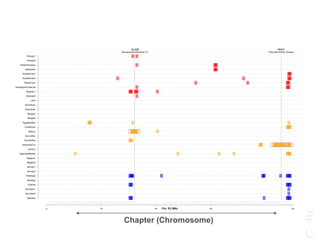 GUSB
Mucopolysaccharidosis VII
PKD1
Polycystic Kidney Disease
0 10 20 30 45
Siamese
Burmese2
Burmese1
Oriental
Bombay
Peterbald
Birman2
Birman1
Ragdoll2
Ragdoll1
JapaneseBobtail
LaPerm
AmericanCurl
CornishRex
DevonRex
Sphynx
TurkishVan
EgyptianMau
Bengal2
Bengal1
Abyssinian
Munchkins
Lykoi
Siberian2
Siberian1
NorwegianForestCat
MaineCoon
ScottishFold2
ScottishFold1
SelkirkRex
BritishShorthair
Persian2
Persian1
Chr. E3 (Mb)
Chapter (Chromosome)
 