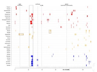 NP
LT
CYP1A2
CLN6
AEN
Amyloidosis
MYH7
Hypertrophic Cardiomyopathy
0 20 40 60 100 120
Siamese
Burmese2
Burmese1
Oriental
Bombay
Peterbald
Birman2
Birman1
Ragdoll2
Ragdoll1
JapaneseBobtail
LaPerm
AmericanCurl
CornishRex
DevonRex
Sphynx
TurkishVan
EgyptianMau
Bengal2
Bengal1
Abyssinian
Munchkins
Lykoi
Siberian2
Siberian1
NorwegianForestCat
MaineCoon
ScottishFold2
ScottishFold1
SelkirkRex
BritishShorthair
Persian2
Persian1
Chr. B3 (Mb)
 