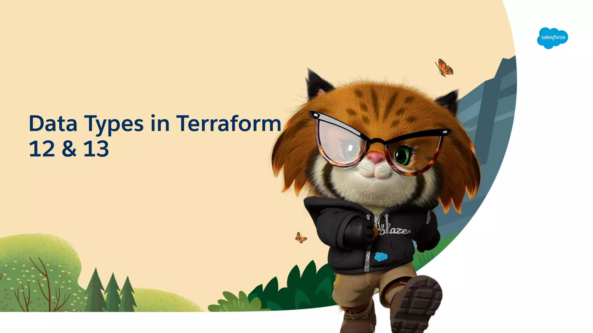 Data Types in Terraform
12 & 13
 