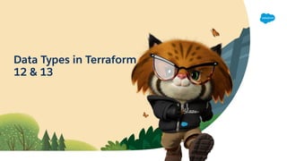 Data Types in Terraform
12 & 13
 
