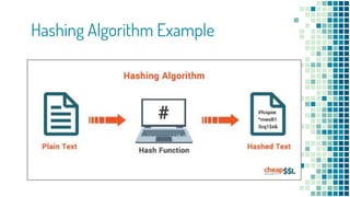 Hashing vs Encryption vs Encoding | PPTX