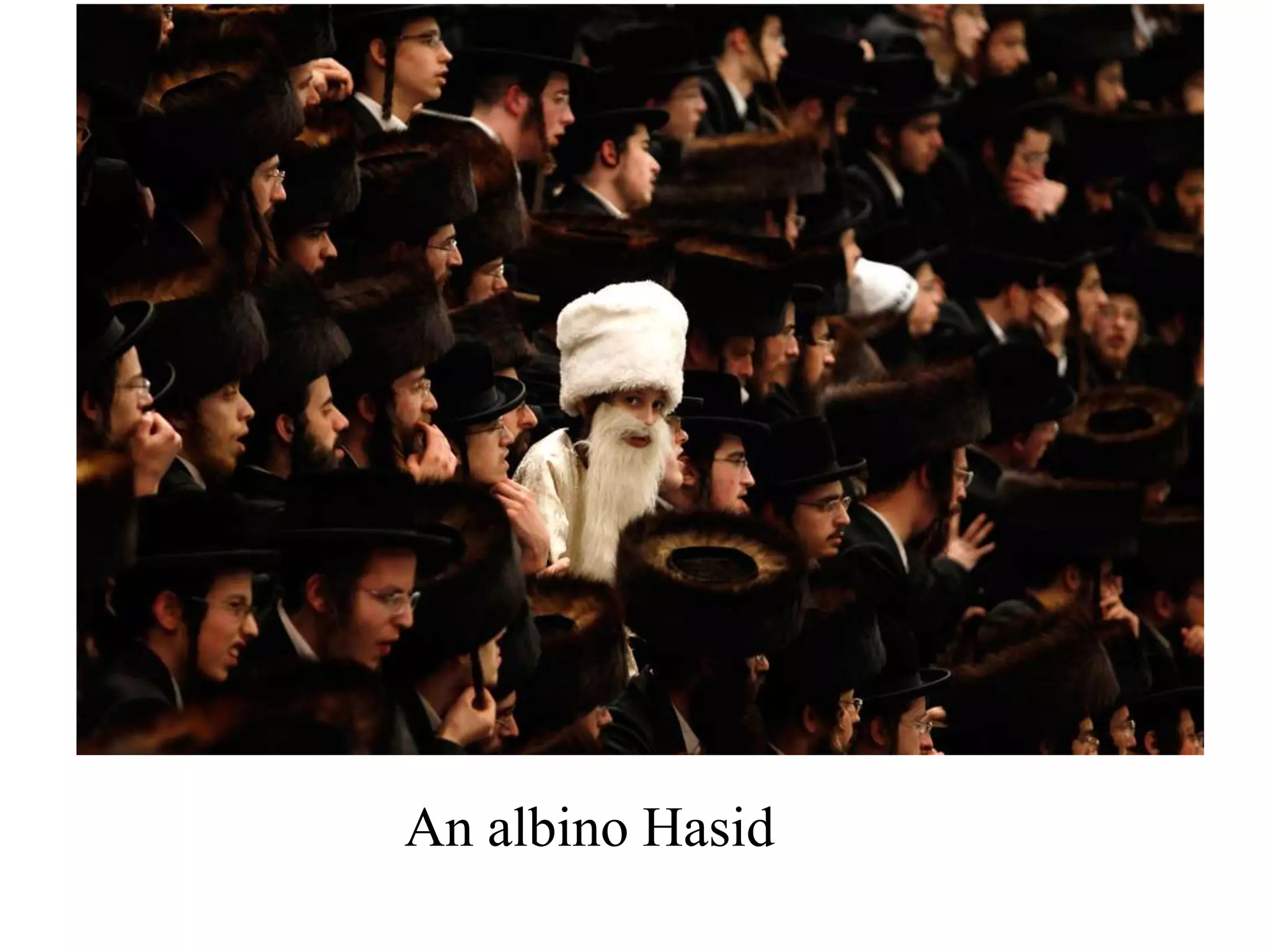 An albino Hasid

 