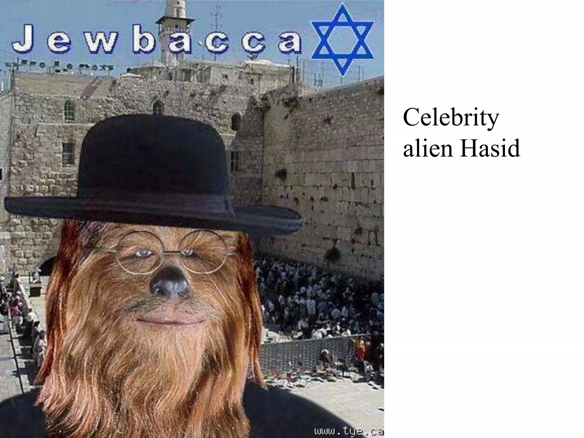Celebrity
alien Hasid

 