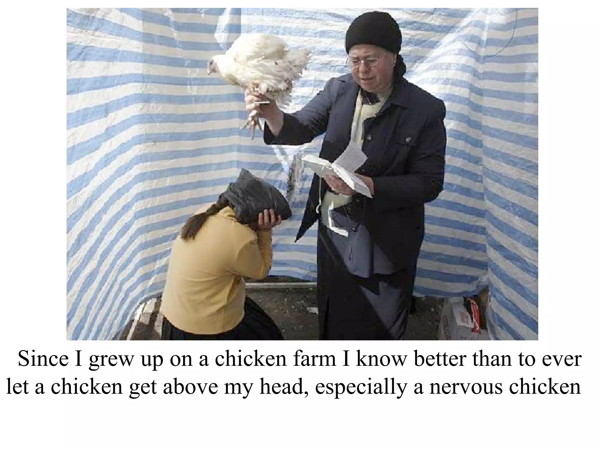 Since I grew up on a chicken farm I know better than to ever
let a chicken get above my head, especially a nervous chicken

 