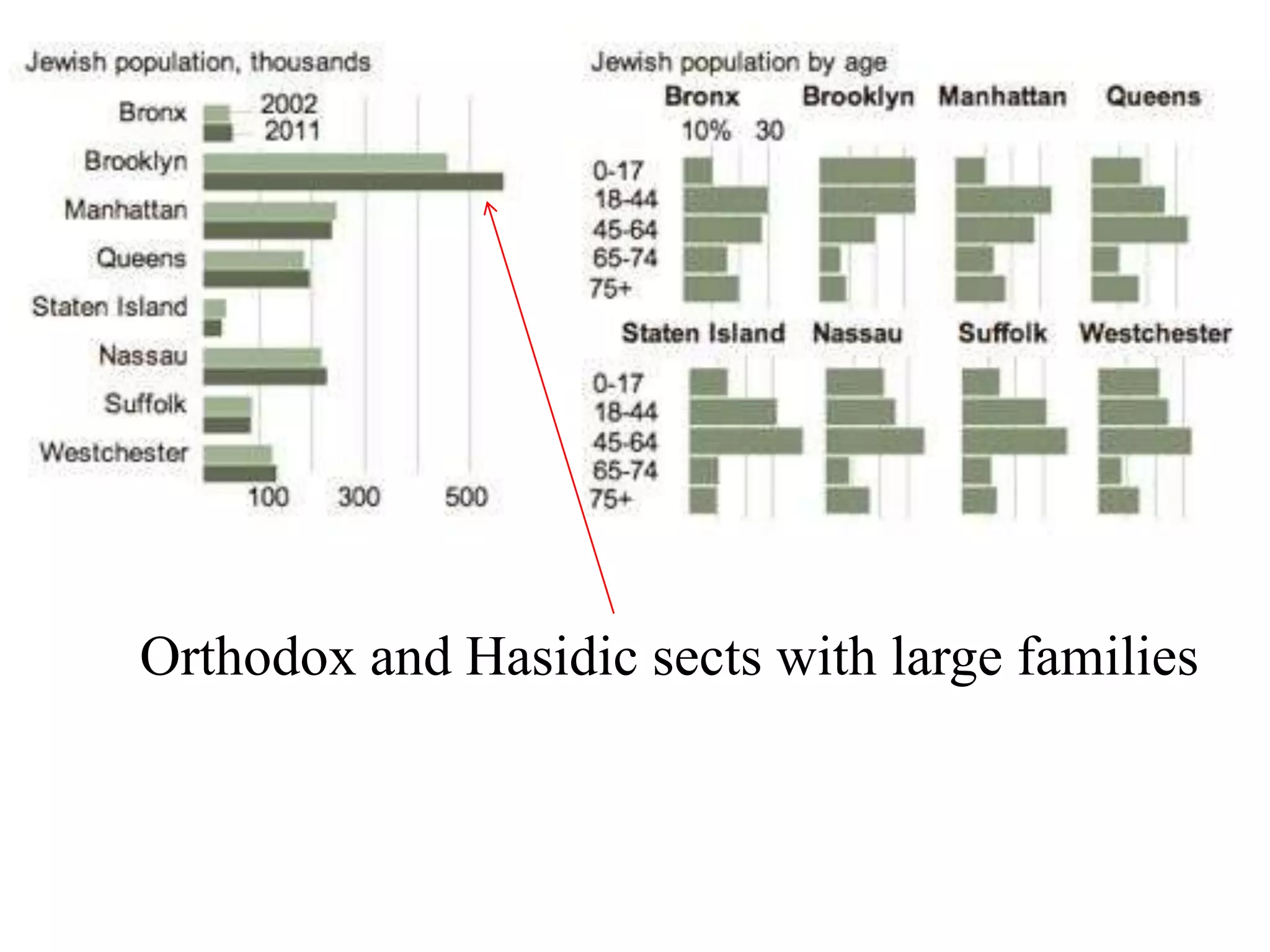Orthodox and Hasidic sects with large families

 