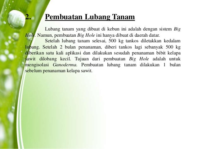 Hasil laporan praktek kerja lapangan