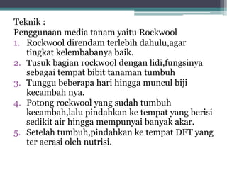 Teknik :
Penggunaan media tanam yaitu Rockwool
1. Rockwool direndam terlebih dahulu,agar
tingkat kelembabanya baik.
2. Tusuk bagian rockwool dengan lidi,fungsinya
sebagai tempat bibit tanaman tumbuh
3. Tunggu beberapa hari hingga muncul biji
kecambah nya.
4. Potong rockwool yang sudah tumbuh
kecambah,lalu pindahkan ke tempat yang berisi
sedikit air hingga mempunyai banyak akar.
5. Setelah tumbuh,pindahkan ke tempat DFT yang
ter aerasi oleh nutrisi.
 
