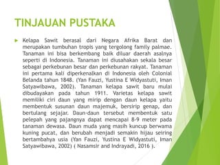 TINJAUAN PUSTAKA
 Kelapa Sawit berasal dari Negara Afrika Barat dan
merupakan tumbuhan tropis yang tergolong family palmae.
Tanaman ini bisa berkembang baik diluar daerah asalnya
seperti di Indonesia. Tanaman ini diusahakan sekala besar
sebagai perkebunan besar dan perkebunan rakyat. Tanaman
ini pertama kali diperkenalkan di Indonesia oleh Colonial
Belanda tahun 1848. (Yan Fauzi, Yustina E Widyastuti, Iman
Satyawibawa, 2002). Tanaman kelapa sawit baru mulai
dibudayakan pada tahun 1911. Varietas kelapa sawit
memiliki ciri daun yang mirip dengan daun kelapa yaitu
membentuk susunan daun majemuk, bersirip genap, dan
bertulang sejajar. Daun-daun tersebut membentuk satu
pelepah yang pajangnya dapat mencapai 8-9 meter pada
tanaman dewasa. Daun muda yang masih kuncup berwama
kuning pucat, dan berubah menjadi semakin hijau seiring
bertambahya usia (Yan Fauzi, Yustina E Widyastuti, Iman
Satyawibawa, 2002) ( Nasamsir and Indrayadi, 2016 ).
 