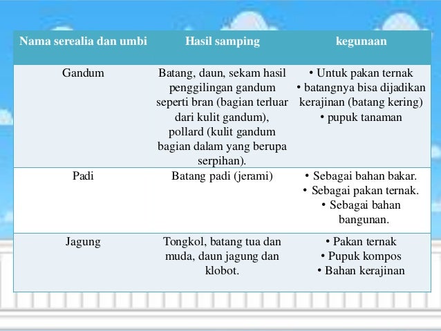 Hasil Samping Serealia Dan Umbi