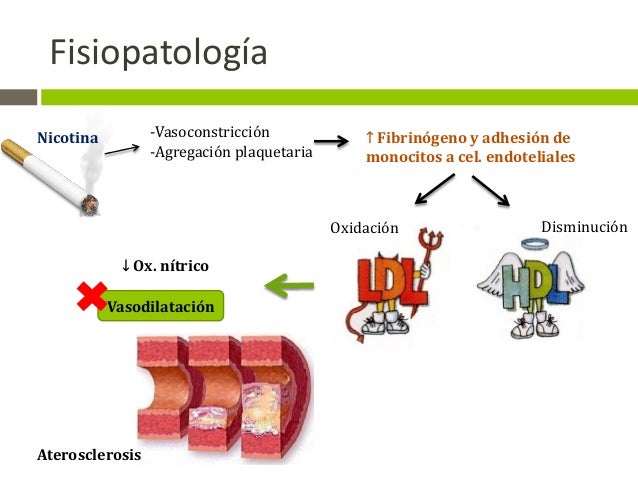 hipertensión remedios naturales en la forma natural