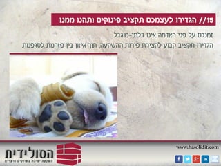 www.hasolidit.com
15//‫ממנו‬ ‫ותהנו‬ ‫פינוקים‬ ‫תקציב‬ ‫לעצמכם‬ ‫הגדירו‬
‫בלתי‬ ‫אינו‬ ‫האדמה‬ ‫פני‬ ‫על‬ ‫זמנכם‬-‫מוגבל‬
‫ההשקעה‬ ‫פירות‬ ‫לקצירת‬ ‫קבוע‬ ‫תקציב‬ ‫הגדירו‬,‫לסגפנות‬ ‫פזרנות‬ ‫בין‬ ‫איזון‬ ‫תוך‬
 