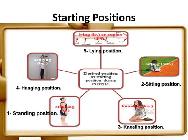Use Of Fundamental & Derived Position. | PPTX | Physical Therapy | Wellness