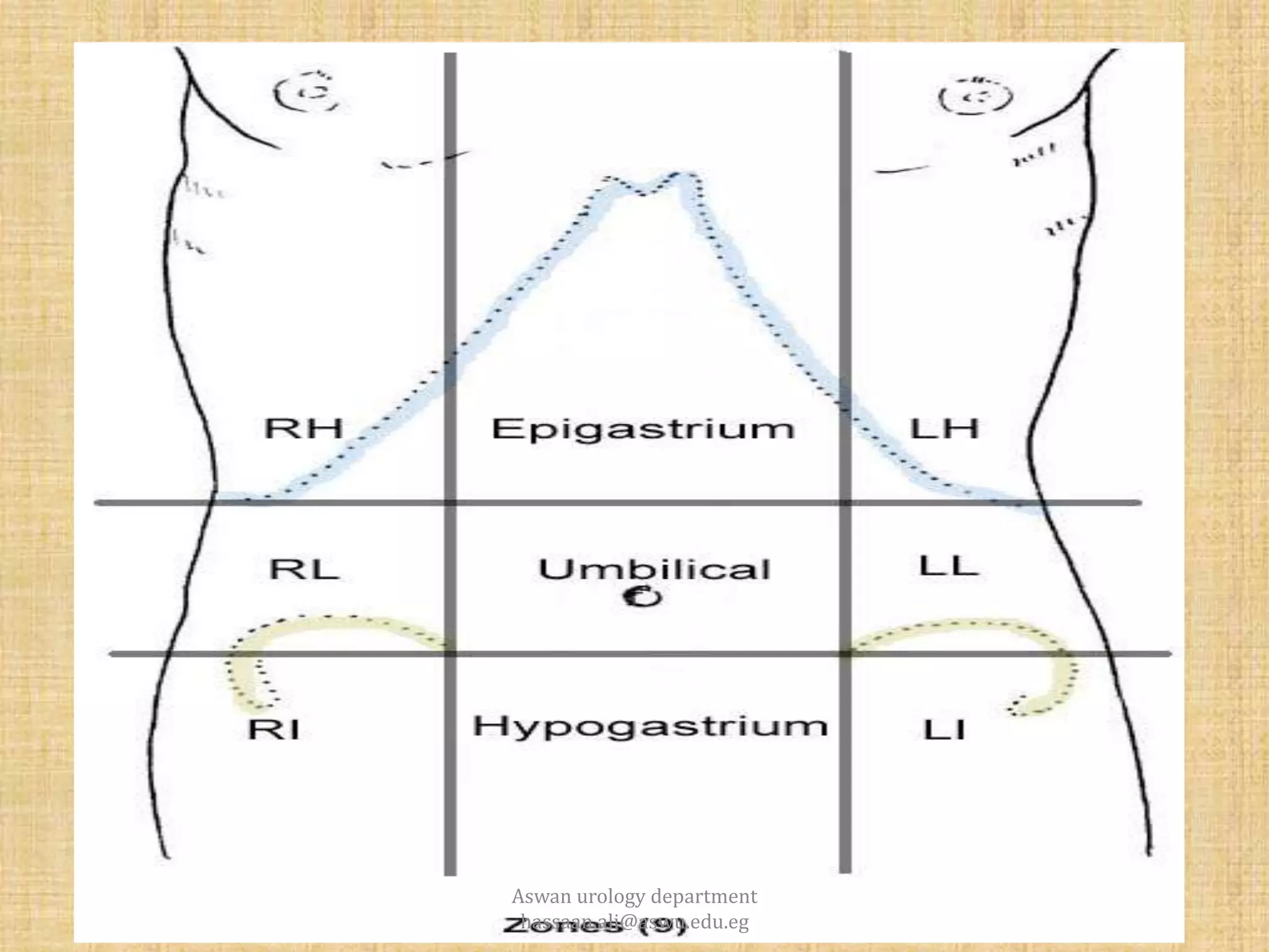 ABDOMINAL WALL ANATOMY | PPTX